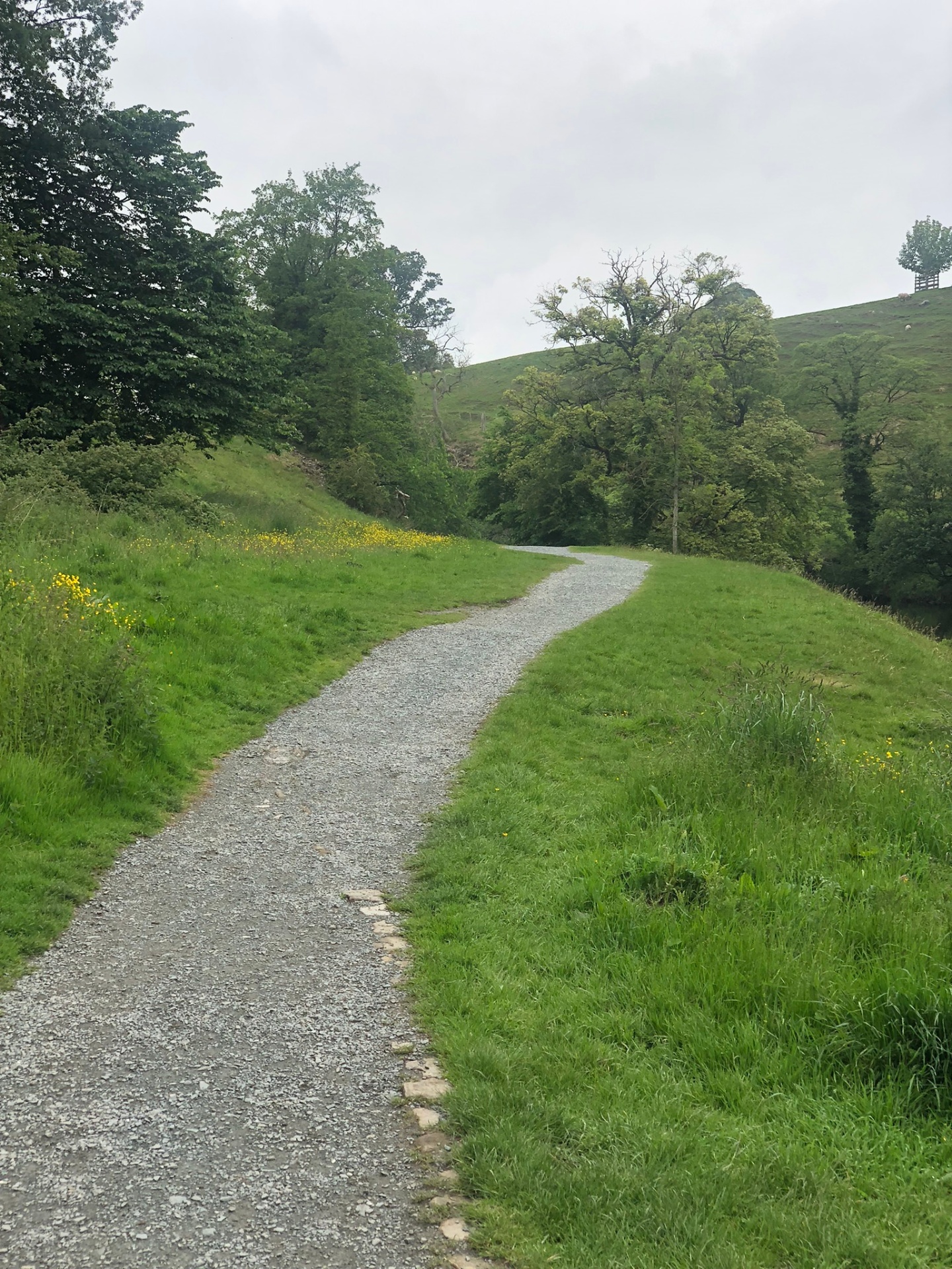 Path Conditions www.trailPath360.com - Making Nature Accessible for Everyone