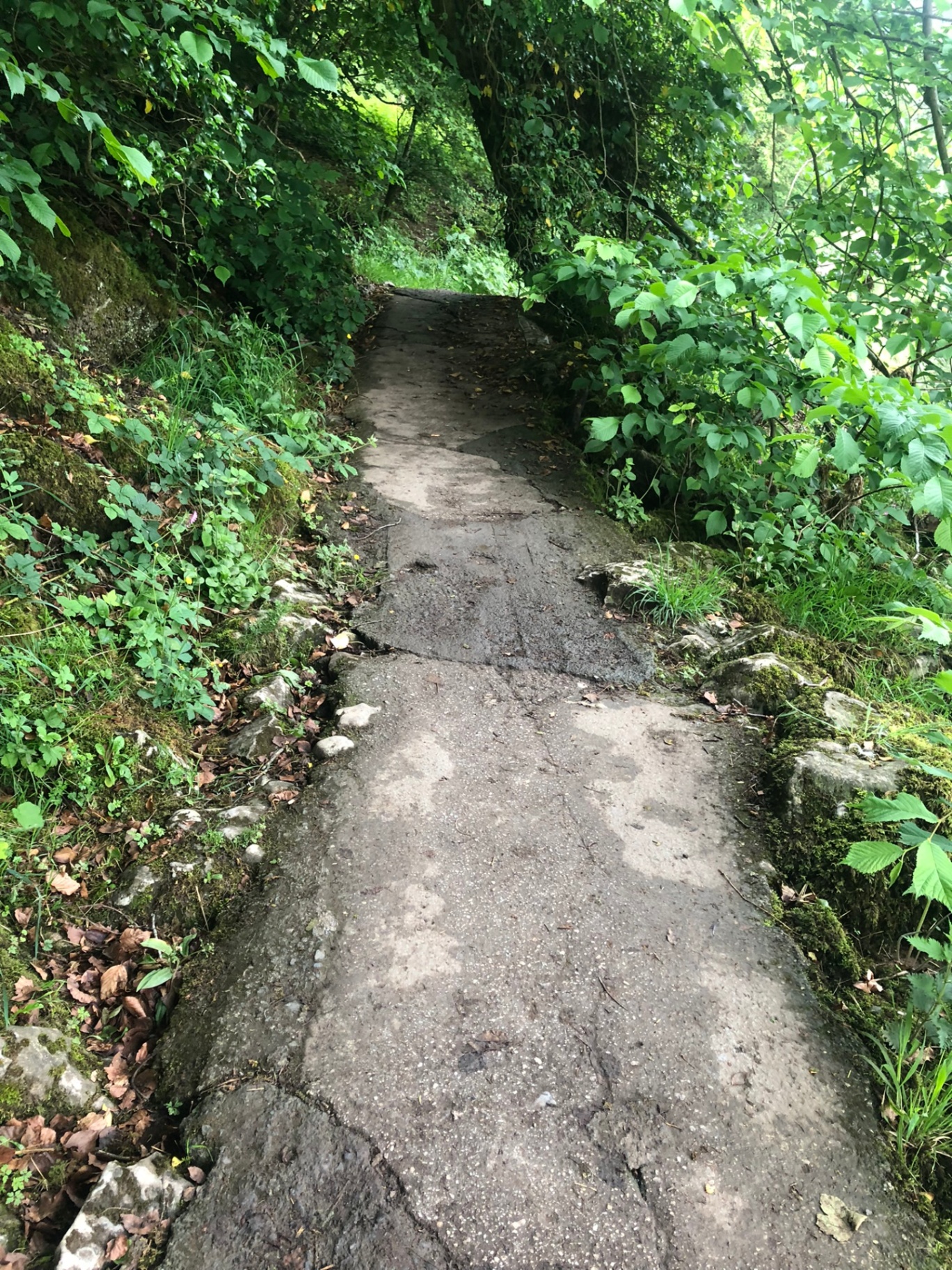 Path Conditions www.trailPath360.com - Making Nature Accessible for Everyone