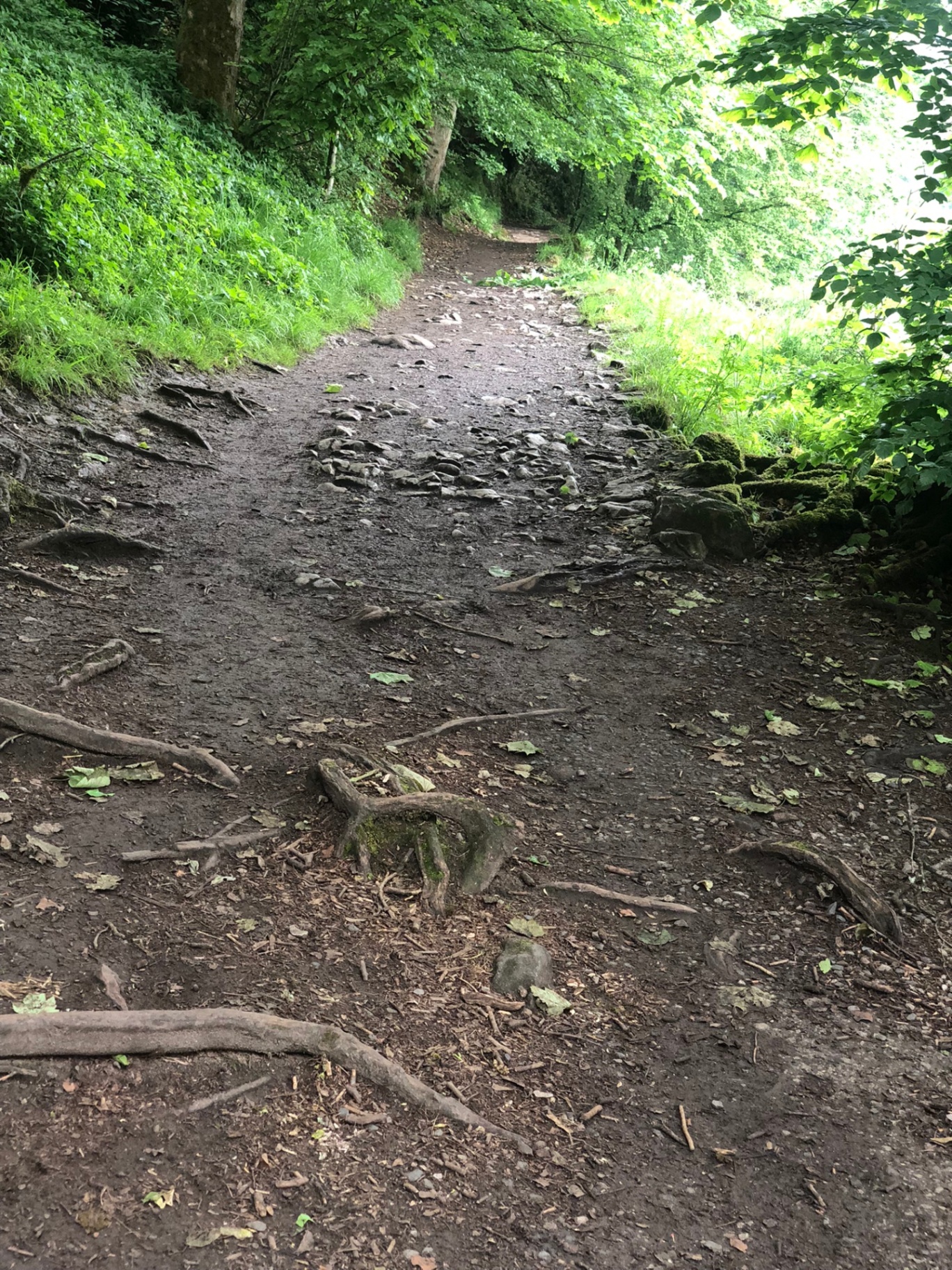Path Conditions www.trailPath360.com - Making Nature Accessible for Everyone